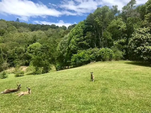 Second view of Homely land listing, 7 Mango Lane, Currumbin Valley QLD 4223