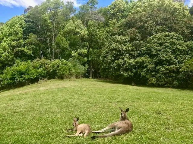 Fifth view of Homely land listing, 7 Mango Lane, Currumbin Valley QLD 4223