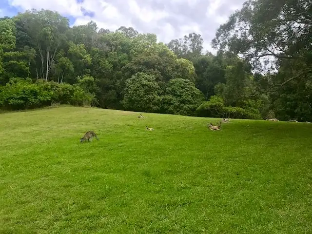 Sixth view of Homely land listing, 7 Mango Lane, Currumbin Valley QLD 4223