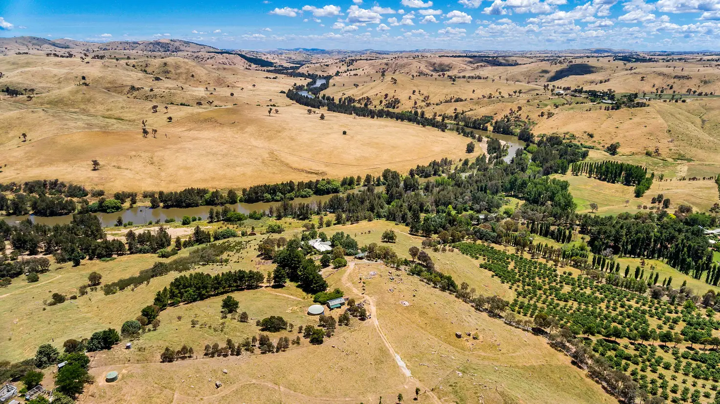 Main view of Homely house listing, 1173 Wallaroo Road, Wallaroo NSW 2618