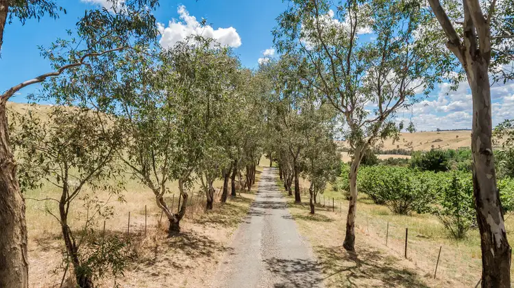 Second view of Homely house listing, 1173 Wallaroo Road, Wallaroo NSW 2618