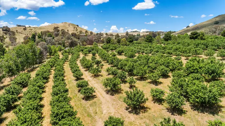 Third view of Homely house listing, 1173 Wallaroo Road, Wallaroo NSW 2618