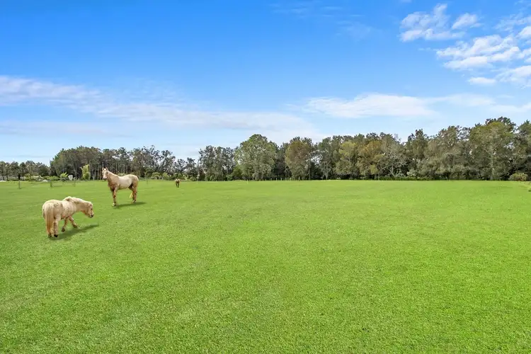 Fourth view of Homely house listing, 65 Kerry Road, Schofields NSW 2762