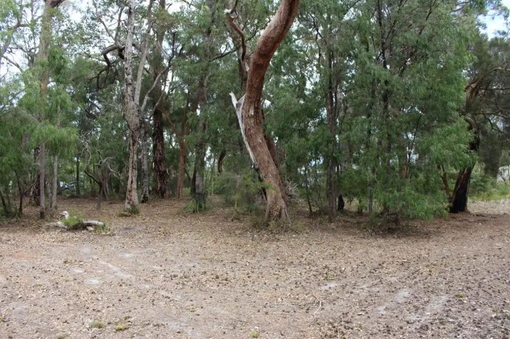 Main view of Homely land listing, 13 Howe Court, Walpole WA 6398