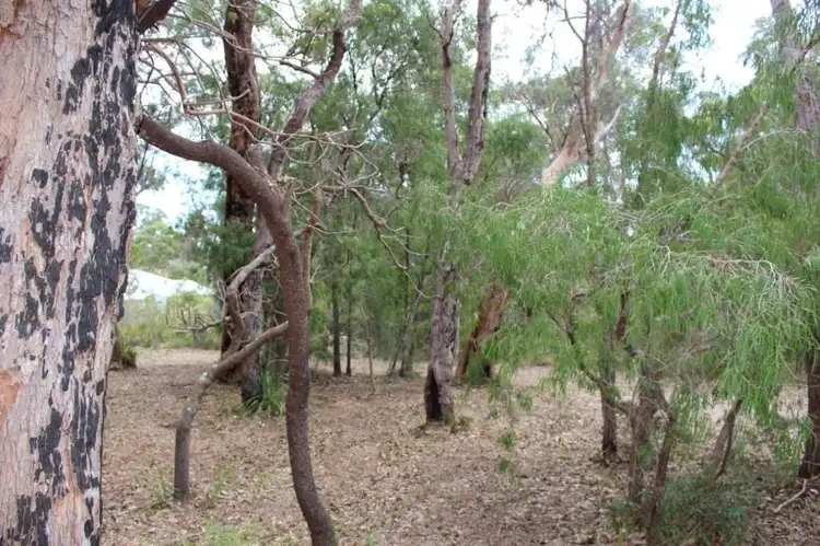 Sixth view of Homely land listing, 13 Howe Court, Walpole WA 6398