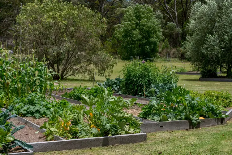 Main view of Homely rural property listing, 47 Clarke Lane, Stanthorpe QLD 4380