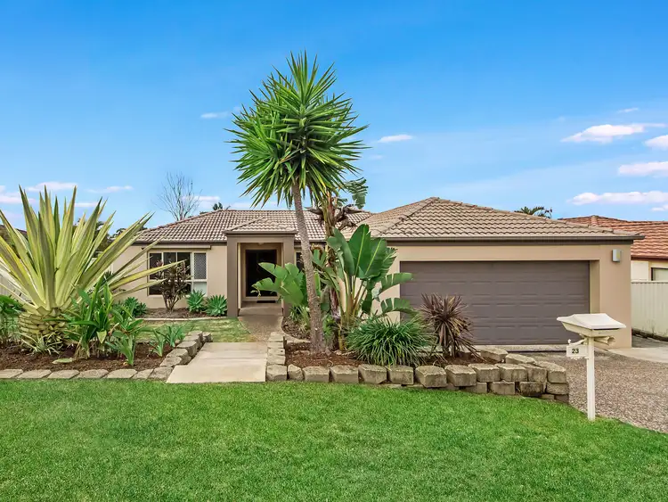 Main view of Homely house listing, 23 Tiger Drive, Arundel QLD 4214