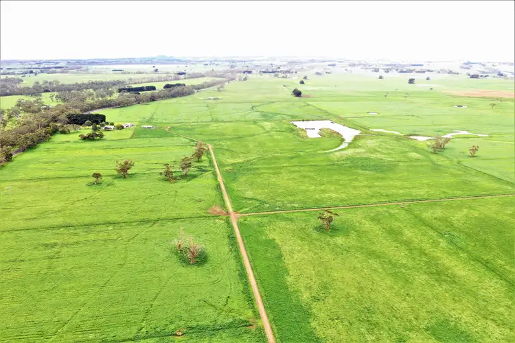 Fourth view of Homely rural property listing, 4 Maddens Bridge Road, Glenfyne VIC 3266