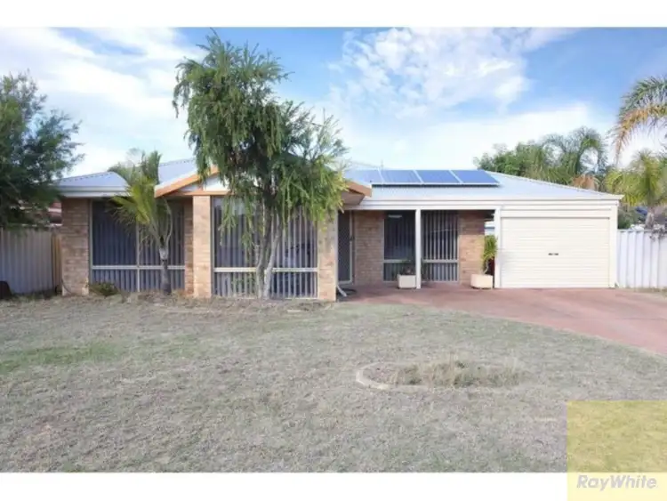 Main view of Homely house listing, 19 Sennet Lane, Warnbro WA 6169