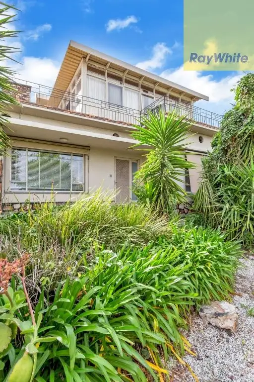 219 Prospect Road, Prospect SA 5082