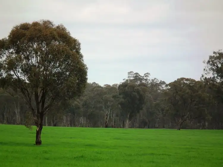 2107 (Lot 5) Northwood Road, Nagambie VIC 3608