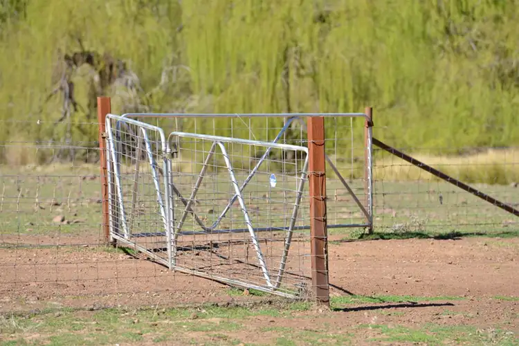 Fifth view of Homely rural property listing, 'LUMEAH' CENN CRUIACH, Coonabarabran NSW 2357