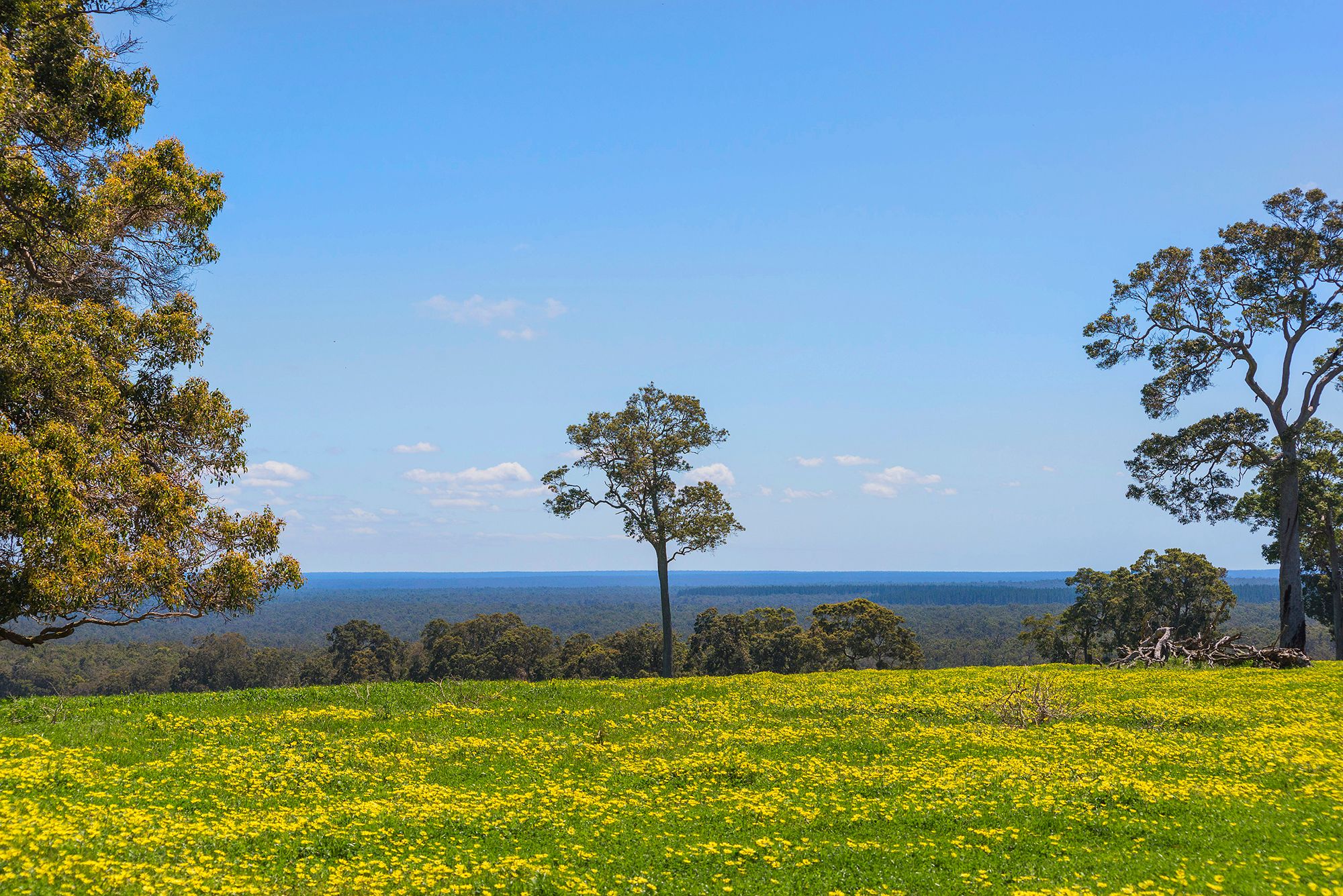 Fifth view of Homely rural property listing, Address available on request