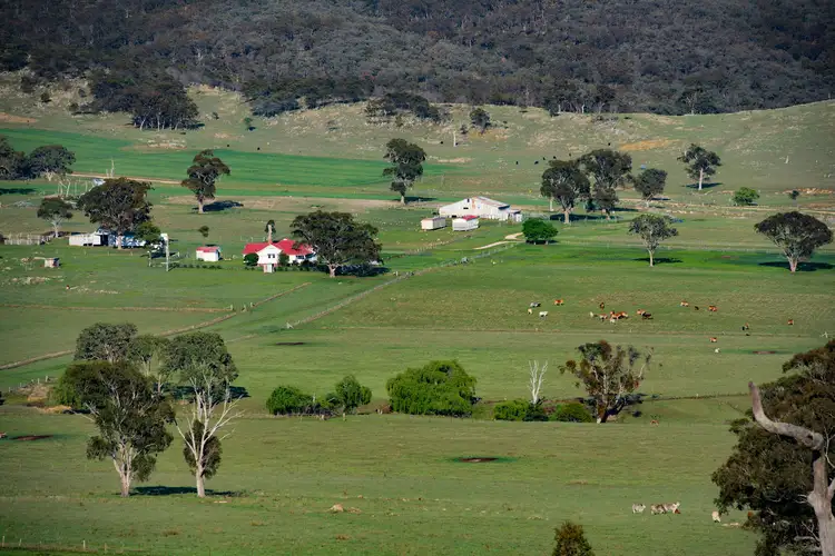 Third view of Homely rural property listing, 924B Kildare Road, Tenterfield NSW 2372