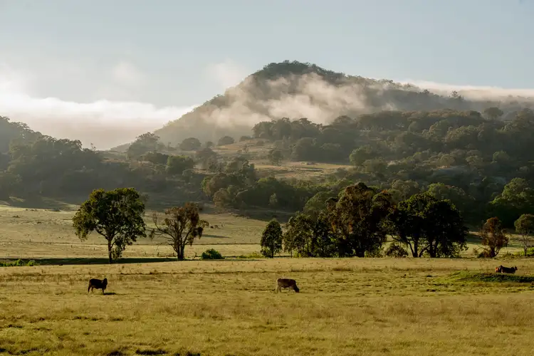 Sixth view of Homely rural property listing, 924B Kildare Road, Tenterfield NSW 2372
