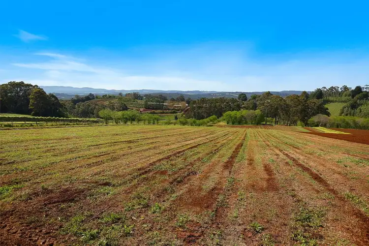 Second view of Homely house listing, 34 Wiseman Road, Monbulk VIC 3793