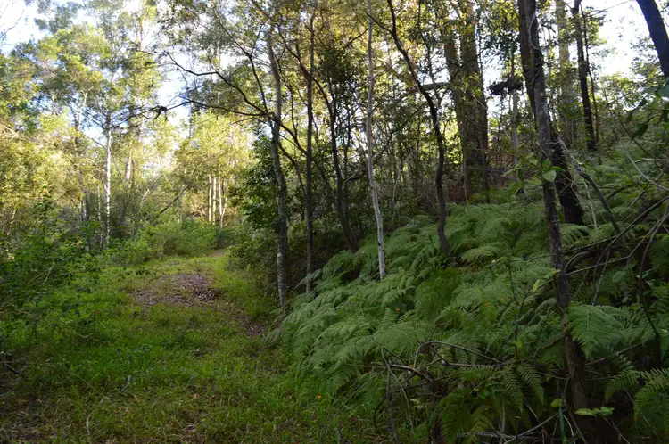 Fifth view of Homely land listing, 326 Old Peachester Road, Peachester QLD 4519