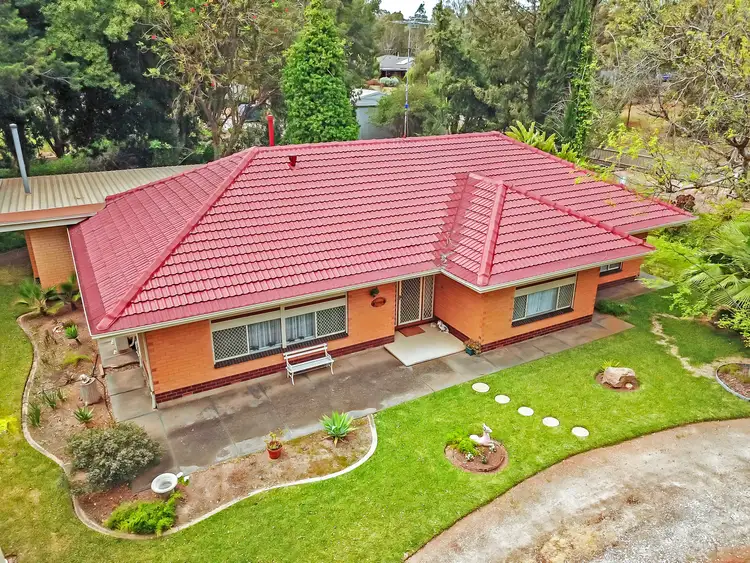Main view of Homely house listing, 19 Sunnydale Avenue, Gawler East SA 5118