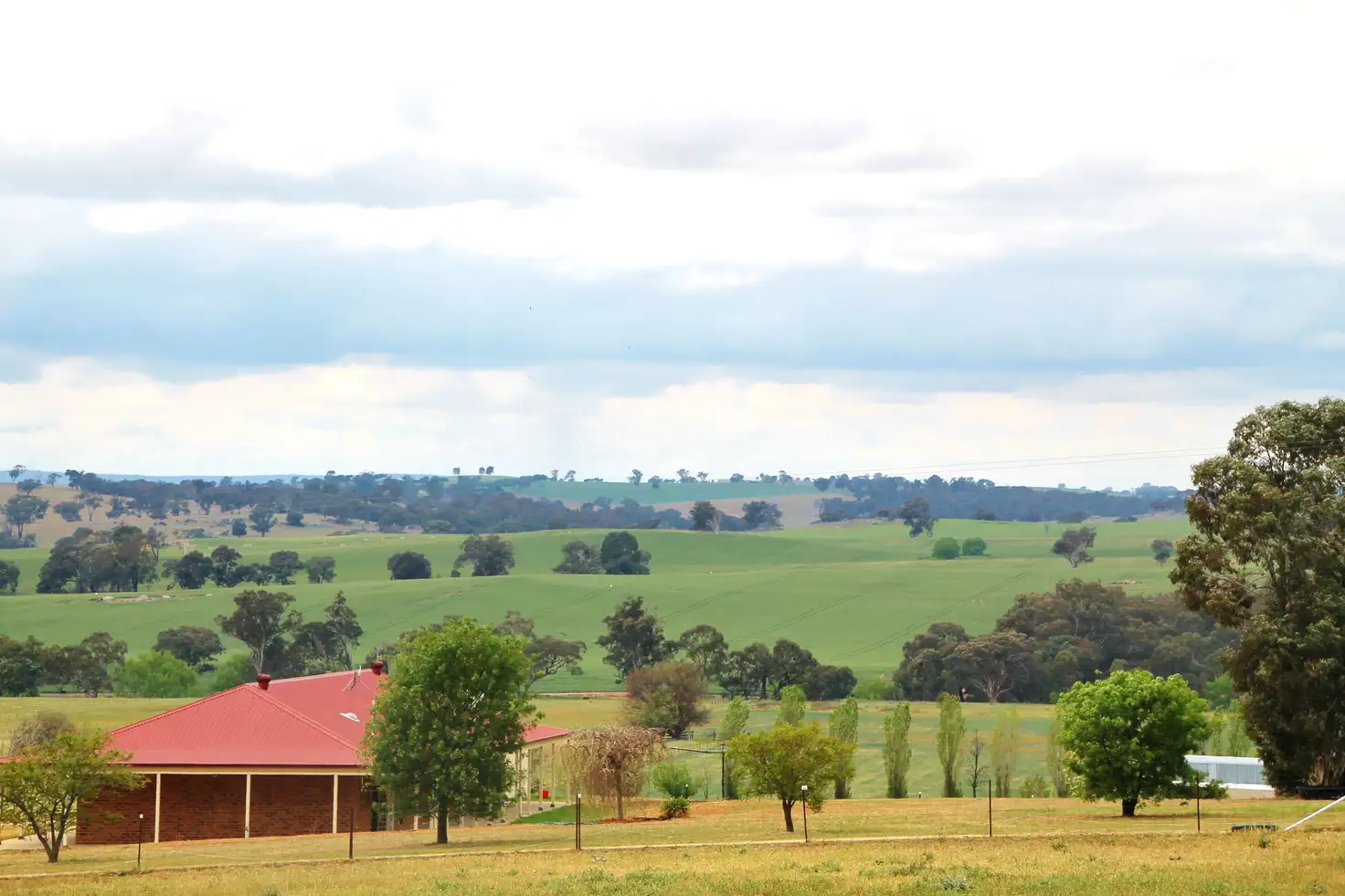 Main view of Homely rural property listing, 44 Quamby SS Lane, Young NSW 2594