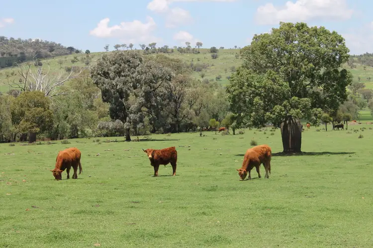 304 Sunnyvale Road, Bunya Mountains QLD 4405