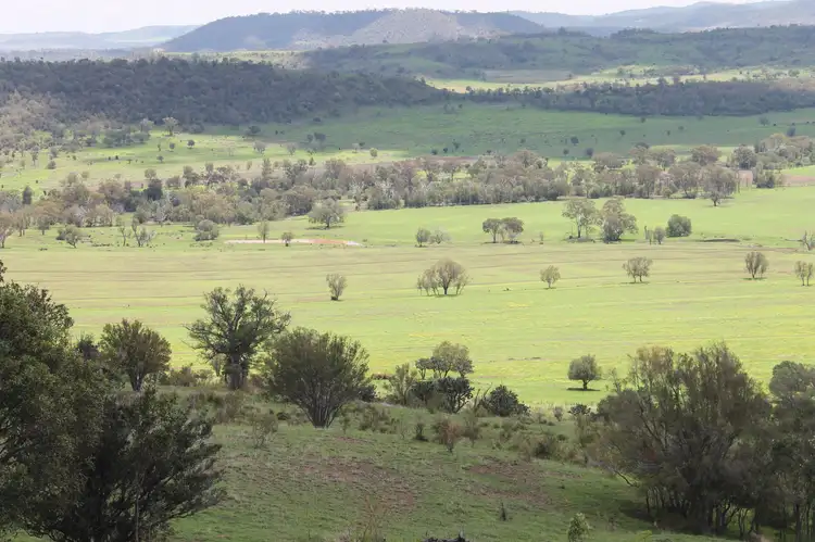Fourth view of Homely rural property listing, 304 Sunnyvale Road, Bunya Mountains QLD 4405