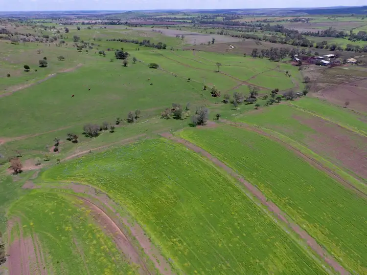 Sixth view of Homely rural property listing, 304 Sunnyvale Road, Bunya Mountains QLD 4405