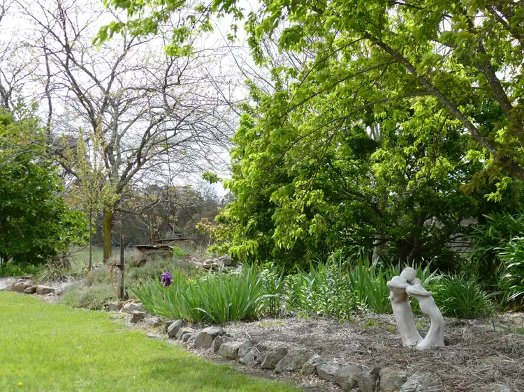 Sixth view of Homely rural property listing, 8 McGauran Lane, Glen Innes NSW 2370