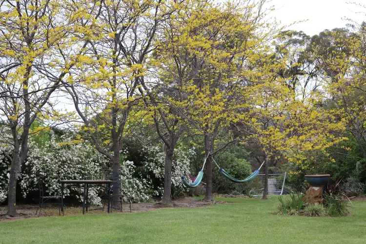 Seventh view of Homely rural property listing, 8 McGauran Lane, Glen Innes NSW 2370