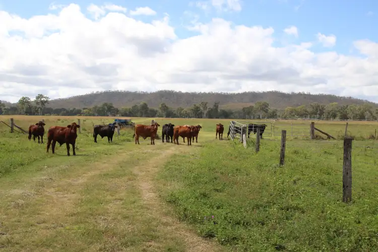 Sixth view of Homely rural property listing, Address available on request