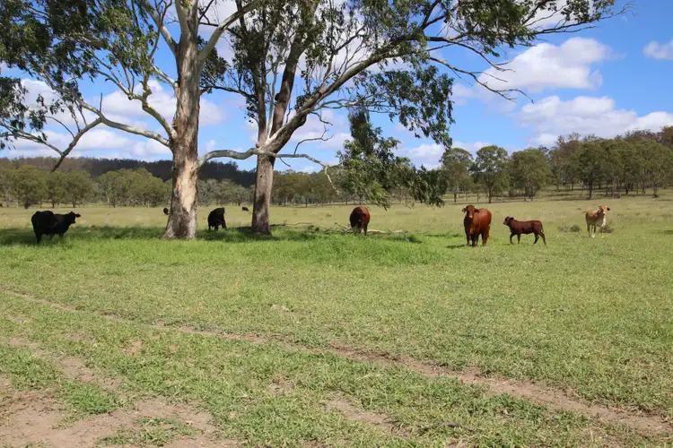 Seventh view of Homely rural property listing, Address available on request