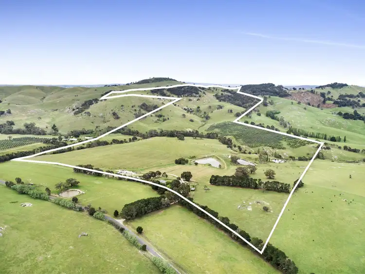 Fourth view of Homely rural property listing, 80 Tooborac-Baynton Road, Tooborac VIC 3522