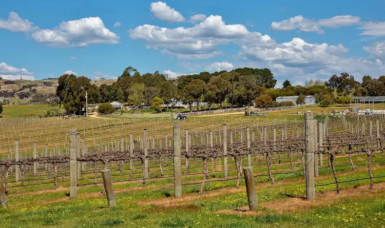 Fifth view of Homely rural property listing, 80 Tooborac-Baynton Road, Tooborac VIC 3522