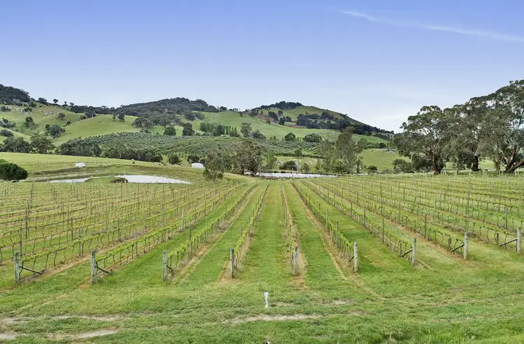 Sixth view of Homely rural property listing, 80 Tooborac-Baynton Road, Tooborac VIC 3522