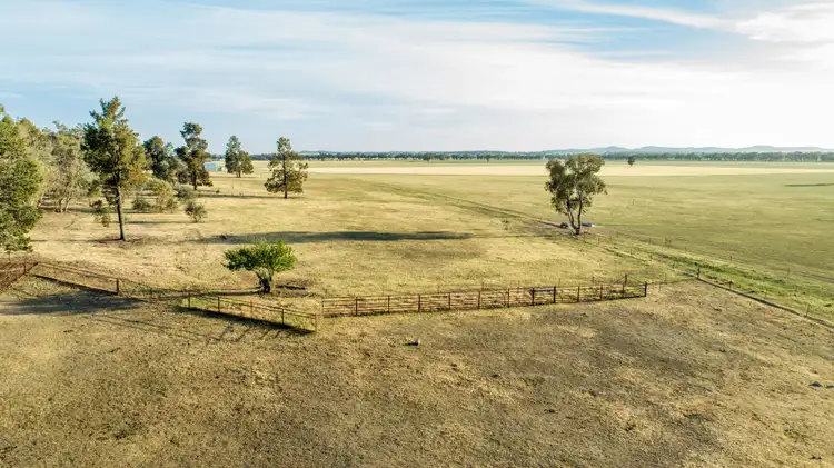 Second view of Homely rural property listing, 90 Thanowring School Road, Temora NSW 2666