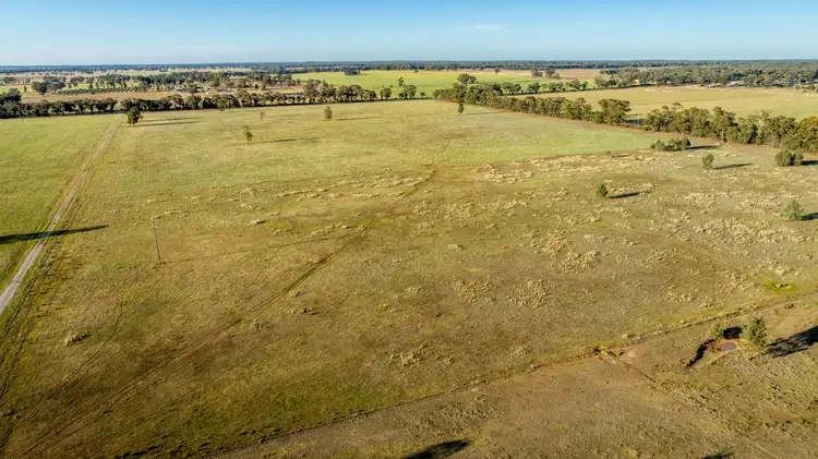 Third view of Homely rural property listing, 90 Thanowring School Road, Temora NSW 2666