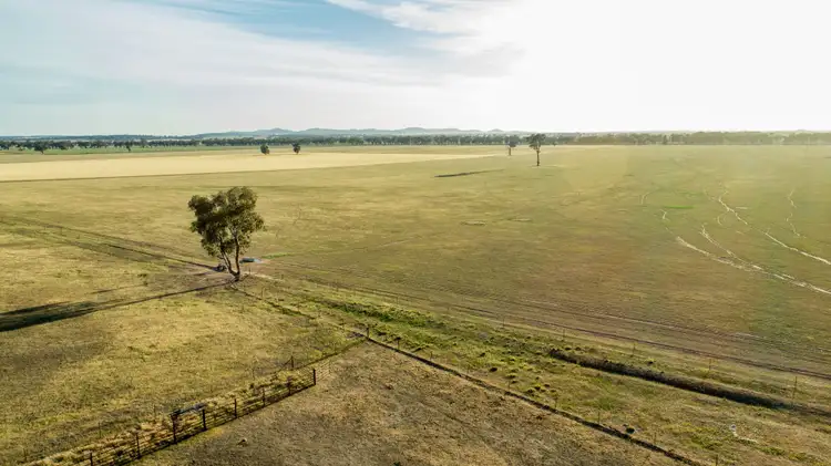 Fourth view of Homely rural property listing, 90 Thanowring School Road, Temora NSW 2666