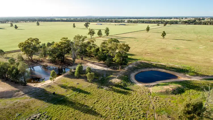 Fifth view of Homely rural property listing, 90 Thanowring School Road, Temora NSW 2666