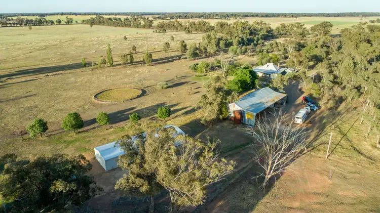 Sixth view of Homely rural property listing, 90 Thanowring School Road, Temora NSW 2666