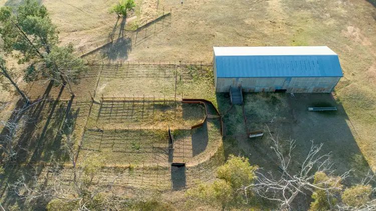Seventh view of Homely rural property listing, 90 Thanowring School Road, Temora NSW 2666