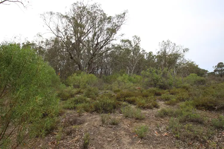 Third view of Homely land listing, Section 35 Page Drive, Blanchetown SA 5357