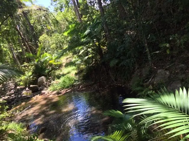 596 Gorge Road, Finch Hatton QLD 4756