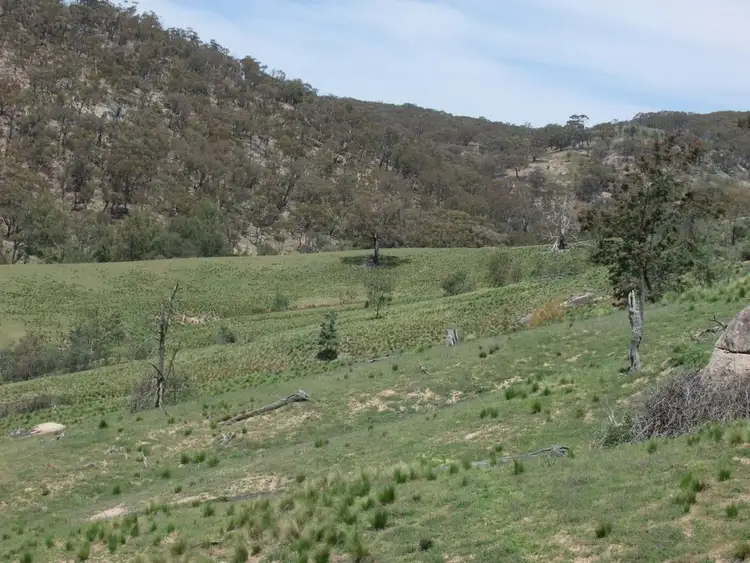 Fourth view of Homely rural property listing, Address available on request