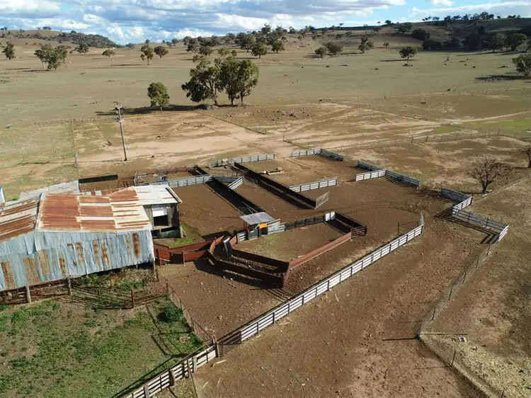 Seventh view of Homely rural property listing, 'LUMEAH' CENN CRUAICH, Coonabarabran NSW 2357