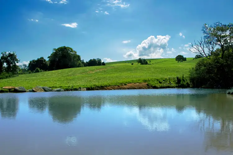 Sixth view of Homely rural property listing, Address available on request