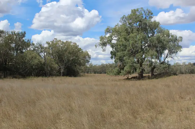 Main view of Homely rural property listing, " Berrigal Farm", Bellata NSW 2397