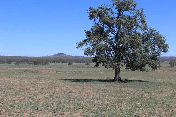 Second view of Homely rural property listing, " Berrigal Farm", Bellata NSW 2397