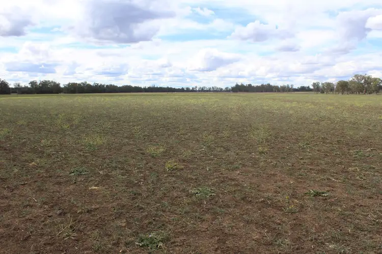 Third view of Homely rural property listing, " Berrigal Farm", Bellata NSW 2397