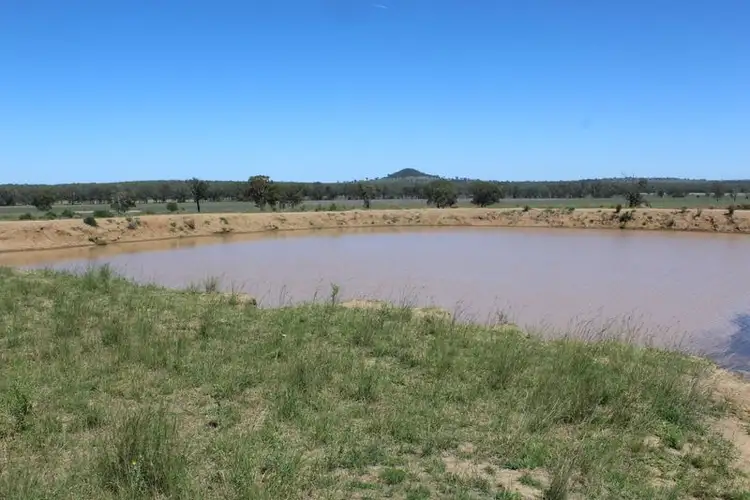Fifth view of Homely rural property listing, " Berrigal Farm", Bellata NSW 2397
