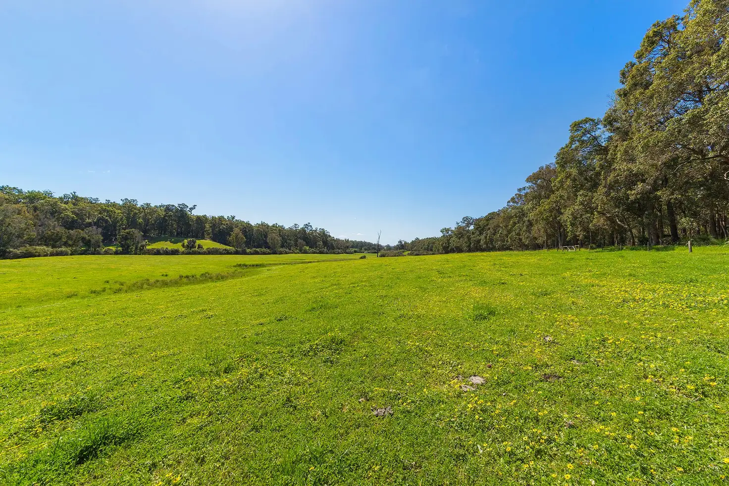 Main view of Homely rural property listing, Address available on request