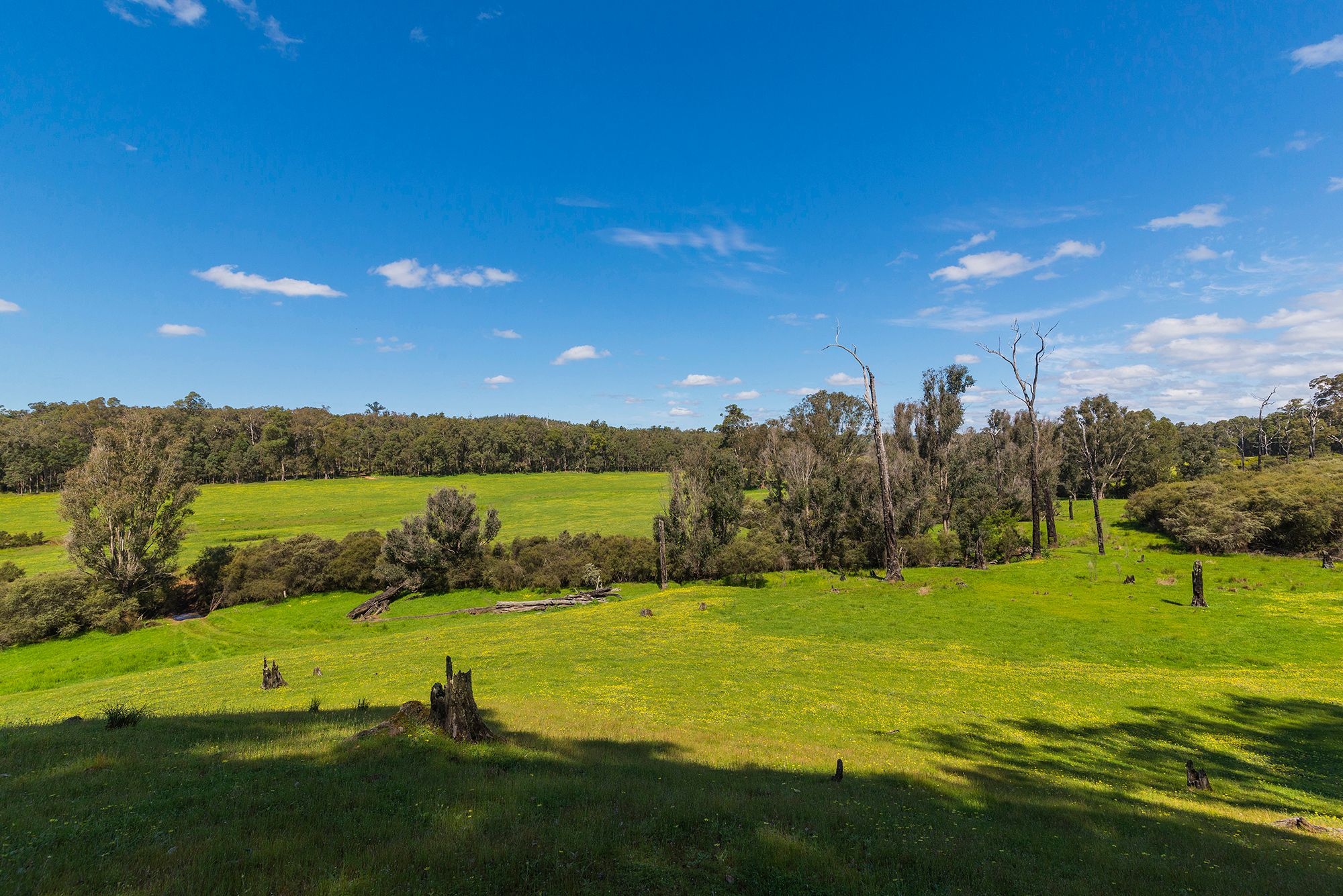 Fifth view of Homely rural property listing, Address available on request
